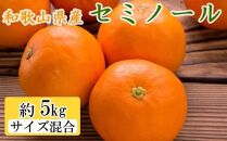 和歌山県産セミノールオレンジ約5kg(サイズ混合　秀品)★2024年4月頃より順次発送