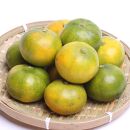 プレミアム&nbsp;有田みかん（ゆら早生）2.5kg+250g（傷み補償分）