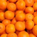 プレミアム 有田みかん（完熟）2.5kg+250g（傷み補償分）