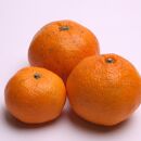 家庭用&nbsp;完熟有田みかん5kg+250g（傷み補償分）