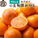 家庭用 小玉 有田みかん7.5kg+250g（傷み補償分）