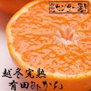 ＜1月より発送＞家庭用　越冬完熟みかん1.5kg+45g（傷み補償分）訳あり