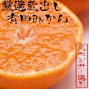 厳選　蔵出みかん2kg+60g（傷み補償分）【有田の蔵出しみかん】【光センサー選果】＜1月より発送＞