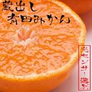 ＜1月より発送＞家庭用　蔵出みかん2.5kg+75g（傷み補償分）【有田の蔵出しみかん】【わけあり・訳あり】【光センサー選果】