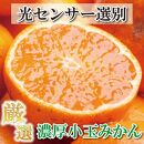 ＜11月より発送＞厳選 小玉な有田みかん3.5kg+105g（傷み補償分）