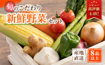 旬の新鮮野菜詰め合わせ&nbsp;8種以上【野菜セット】