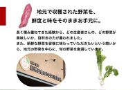 旬の新鮮野菜詰め合わせ&nbsp;8種以上【野菜セット】