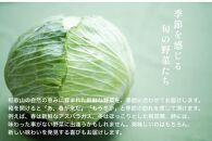 旬の新鮮野菜詰め合わせ&nbsp;8種以上【野菜セット】
