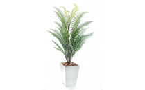 人工観葉植物　シダ熱帯ポット&nbsp;ソードファーン　白樹脂鉢Sサイズ付