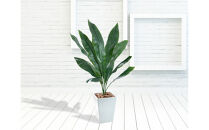 人工観葉植物　ハラン　白樹脂鉢Sサイズ付