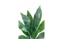 人工観葉植物　ハラン　白樹脂鉢Sサイズ付