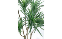 人工観葉植物　青年の樹ユッカ７本枝　白樹脂鉢Lサイズ付