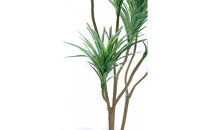 人工観葉植物　青年の樹ユッカ７本枝　白樹脂鉢Lサイズ付
