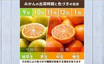家庭用 有田みかん5kg+250g（傷み補償分）［2025年10月上旬から2026年1月下旬頃順次発送予定］［IKE247］