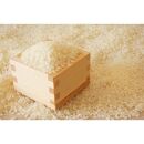 【令和7年産】福岡県産ブランド米「元気つくし」白米&nbsp;10kg