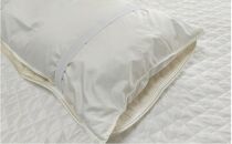 ピュアシルク枕パッド　2枚組　Mサイズ（43×63cm）SCC-4363-2P
