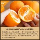 清見オレンジ（みかん）4kg｜和歌山県海南市下津町で育てた和製オレンジを産地直送でお届け【2025年3月～発送予定】