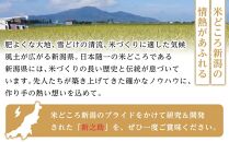 【パックごはん】新之助ごはん150g×24個