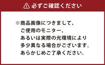 なんでも詰めて使える カバー スクエア オリーブブラウン 布団収納袋 ジャメル 無地 日本製