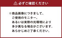 なんでも詰めて使える カバー スクエア オークルベージュ 布団収納袋 ジャメル 無地 日本製