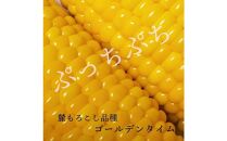 衝撃の甘さ！ 朝採りとうもろこし 『 麓もろこし 』 2Lサイズ 12～14本