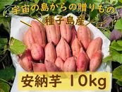 N133　【種子島安納】種子島産安納芋１０kg