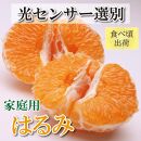 ＜2月より発送＞家庭用 はるみ5kg+150g（傷み補償分）【デコポンの姉妹品種・新食感春みかん】【光センサー選別】【わけあり・訳あり】