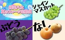 【2023年先行予約】福岡八女　お楽しみ夏のフルーツ定期便Ａ　ぶどう　シャインマスカット　豊水梨｜＜配送不可：北海道・沖縄・離島＞