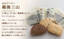 越後三山 山のクッキー 各4枚 計12個 クッキー チョコチップ ココア 和菓子 洋菓子 お菓子 菓子 焼き菓子 セット 菓子詰合せ 詰め合わせ スイーツ ギフト おかしとおやき ことう 新潟県 南魚沼市