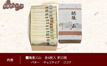 越後三山 山のクッキー 各4枚 計12個 クッキー チョコチップ ココア 和菓子 洋菓子 お菓子 菓子 焼き菓子 セット 菓子詰合せ 詰め合わせ スイーツ ギフト おかしとおやき ことう 新潟県 南魚沼市