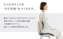 Style Chair PM【ブラック】