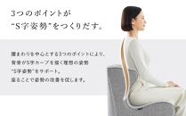 Style Chair DC【グレー】