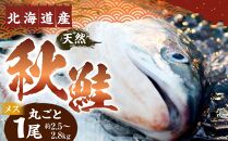 【2023年発送】秋鮭1尾（メス）約2.5kg～2.8kg