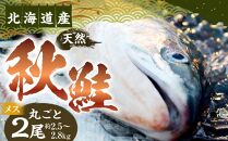 【2023年発送】秋鮭2尾（メス）1尾約2.5kg～2.8kg
