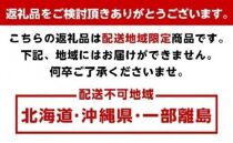 濃厚な味わい ゆら早生みかん約7kg 希少品種《有機質肥料100％》【2024年10月より順次発送】