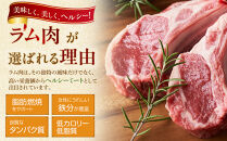 【800g】ラムチョップ味付き骨付ラム肉ジンギスカン（秘伝タレ込み）本数指定不可&nbsp;【ラム&nbsp;ラム肉&nbsp;ラムチョップ&nbsp;骨付き&nbsp;骨付き肉&nbsp;北海道&nbsp;ジンギスカン&nbsp;仔羊&nbsp;羊肉&nbsp;肉&nbsp;お肉&nbsp;味付き&nbsp;焼肉&nbsp;バーベキュー&nbsp;BBQ&nbsp;冷凍&nbsp;北海道産&nbsp;旭川市&nbsp;】_01676