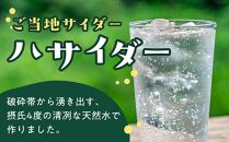 炭酸飲料 サイダー セット 6本 × 250ml ハサイダー 箱入り