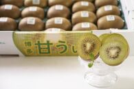 福岡県産限定オリジナルキウイ・甘うぃ約1.5ｋｇ（福岡市返礼品）※一部離島不可