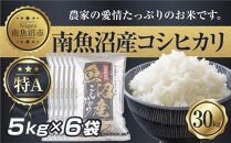 ES311 新潟県 南 魚沼産 コシヒカリ お米 5kg ×6袋 計30kg（お米の