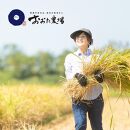 【令和5年産】   新潟県上越産   特別栽培米コシヒカリ   【白米】   5kg×1袋
