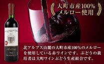 酒 ワイン 赤ワイン Nishina メルロー 大町市産 1本 × 720ml