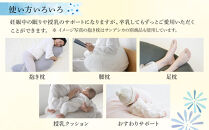 4260-9999-22■くぼみが体にフィットするふわふわくもの抱き枕 ギフト ブルー  出産祝い プレゼント 洗える