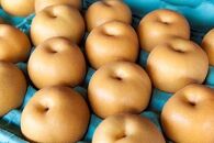 乙連沢梨園の梨ギフト&nbsp;幸水&nbsp;4.5kg&nbsp;箱≪8～9月頃発送≫
