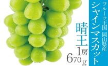 【先行予約】CN22　シャインマスカット晴王　１房　670ｇ　岡山県産　種無し　皮ごと食べる　みずみずしい 甘い　フレッシュ　瀬戸内　晴れの国　おかやま　果物大国　ハレノフルーツ