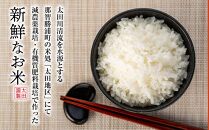 【定期便　全3回】『太田のちから』減農薬栽培・有機質肥料栽培のコシヒカリ 10kg