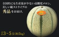 【先行予約】佐藤農園のマルセイユメロン 約5kg 秀品（3～5玉入）深みのある甘さ とろける濃厚な赤肉！農家直送 有機肥料 低農薬 ※2025年6月発送上旬より順次発送予定