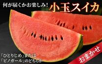 【先行予約】佐藤農園の小玉スイカ・マルセイユメロン セット 計2玉（約3kg～4kg） 秀品 農家直送 有機肥料 低農薬 ※2025年6月上旬より順次発送