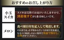 【先行予約】佐藤農園の小玉スイカ・マルセイユメロン セット 計2玉（約3kg～4kg） 秀品 農家直送 有機肥料 低農薬 ※2025年6月上旬より順次発送