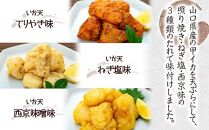 天ぷら 訳あり 食べ比べ 6袋 ( 220g × 各2袋 ) 天然イカの天ぷら