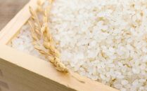 【先行予約】令和6年産 特別栽培米 あやひめ 白米5kg 玄米2kg 各2袋 合計14kg_01767